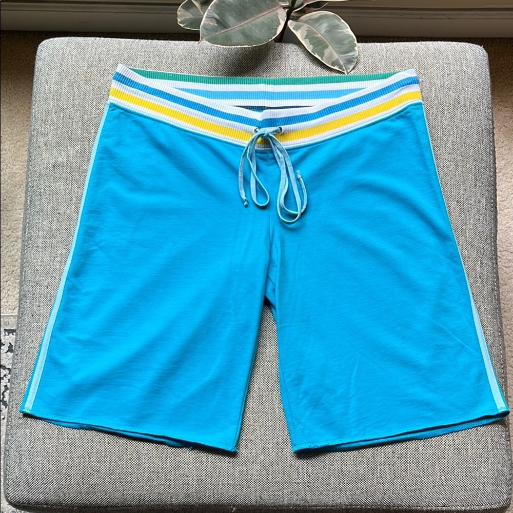 ☀️ Y2K Vintage Low Rise Shorts Circa 2007, Size: L